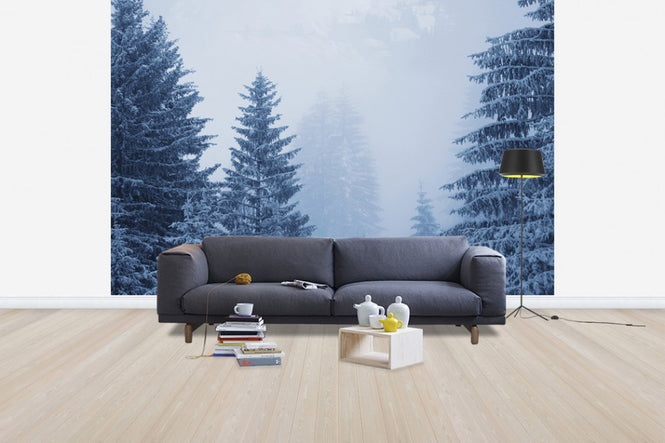 PHOTOWALL / Coniferous Forest in Austria, Europe (e40736)
