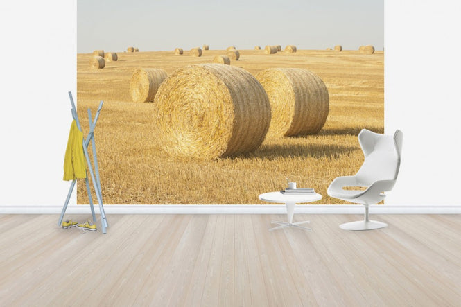 PHOTOWALL / Hay Field in Skurup, Sweden, Europe (e40739)