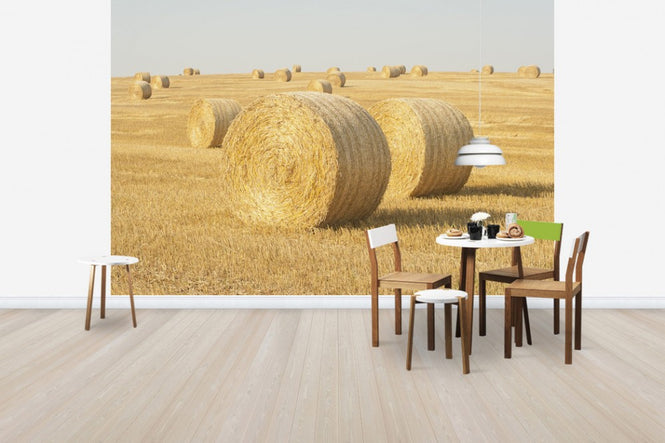 PHOTOWALL / Hay Field in Skurup, Sweden, Europe (e40739)