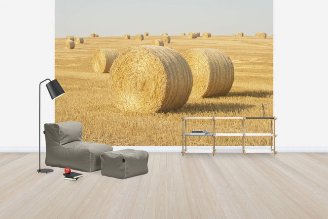 PHOTOWALL / Hay Field in Skurup, Sweden, Europe (e40739)