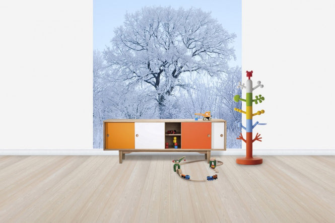 PHOTOWALL / Winter Oak in Sweden (e40752)