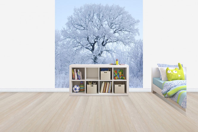 PHOTOWALL / Winter Oak in Sweden (e40752)