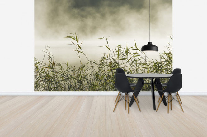 PHOTOWALL / Yngaren in Fog, Sweden (e40753)