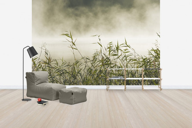 PHOTOWALL / Yngaren in Fog, Sweden (e40753)