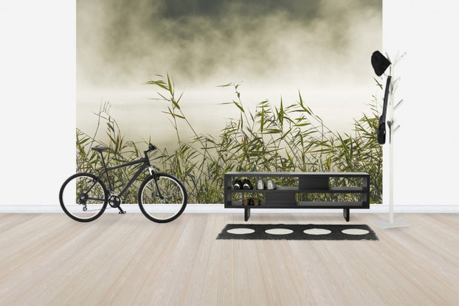 PHOTOWALL / Yngaren in Fog, Sweden (e40753)