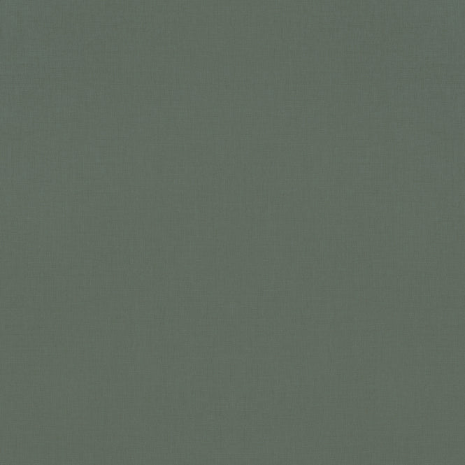 【予約受付】rasch ラッシュ / 531459(690750) (Salsa / AMAZING)