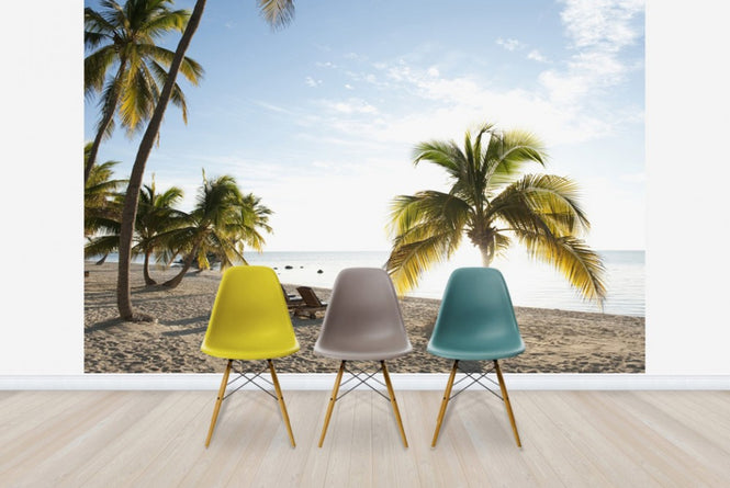 PHOTOWALL / Beach in Islamorada in Florida Keys, USA (e40755)