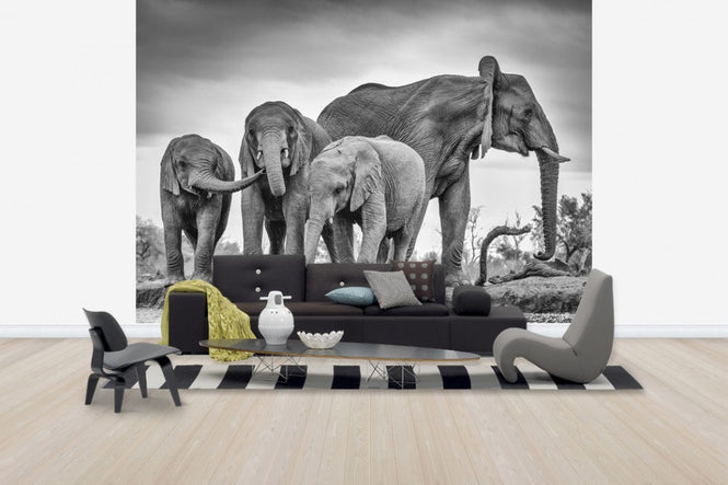 PHOTOWALL / A Giant Unity (e30601)