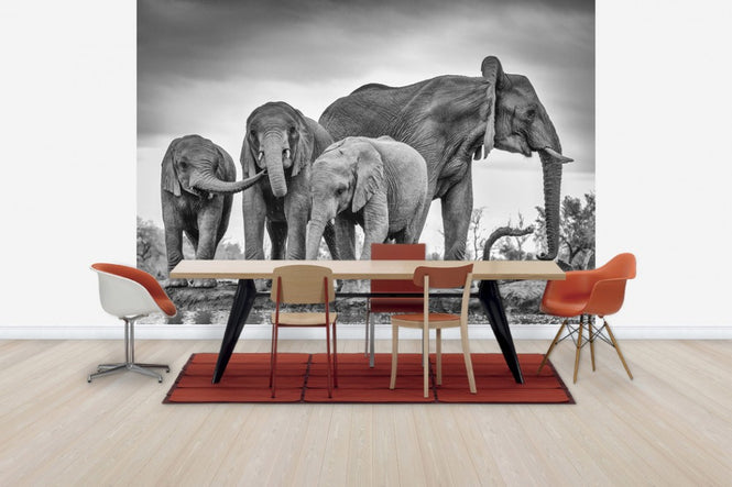 PHOTOWALL / A Giant Unity (e30601)