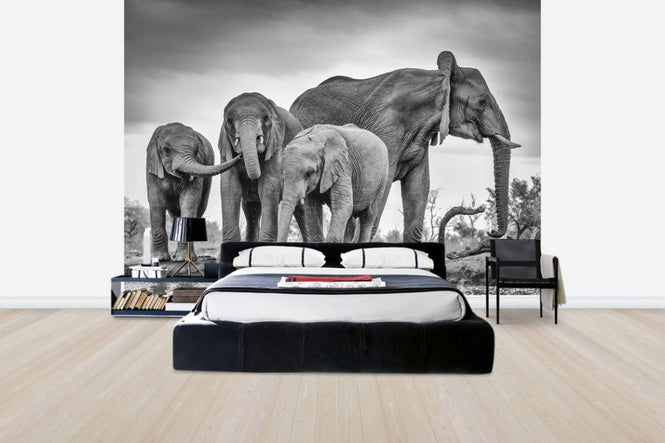 PHOTOWALL / A Giant Unity (e30601)