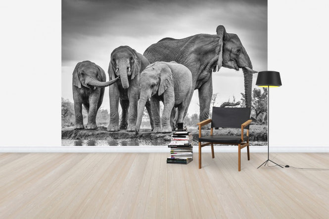 PHOTOWALL / A Giant Unity (e30601)