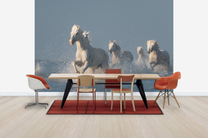 PHOTOWALL / Angels of Camargue (e30602)