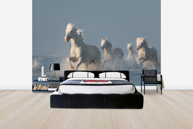 PHOTOWALL / Angels of Camargue (e30602)