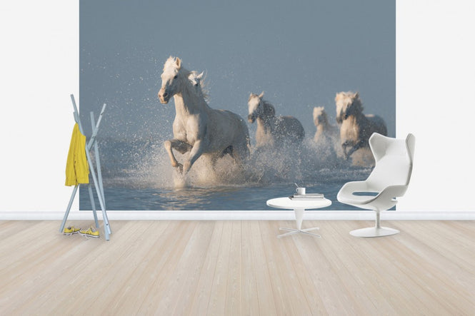 PHOTOWALL / Angels of Camargue (e30602)