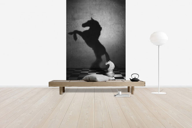 PHOTOWALL / The Soul of a Mustang (e40915)