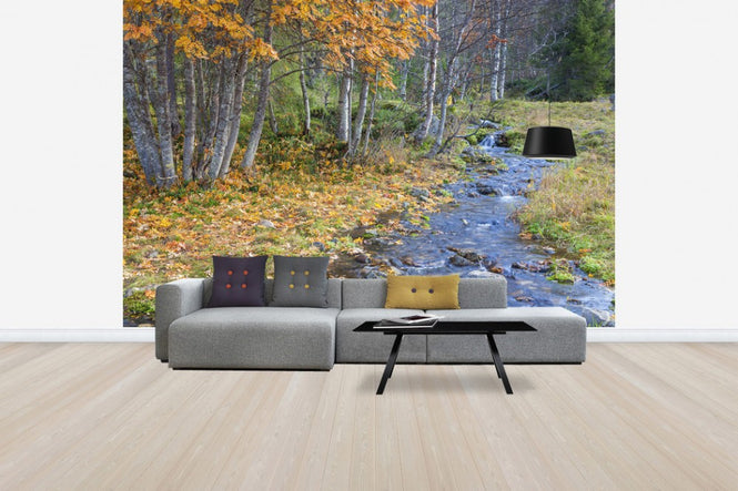 PHOTOWALL / Autumn River (e30759)