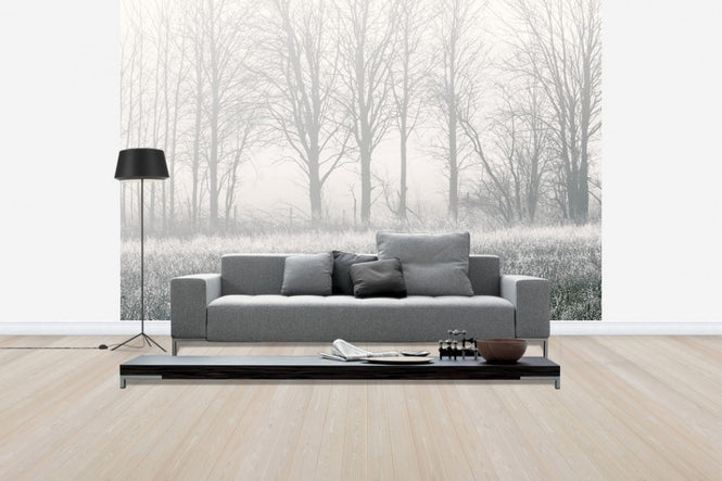 PHOTOWALL / Misty Tree (e30776)