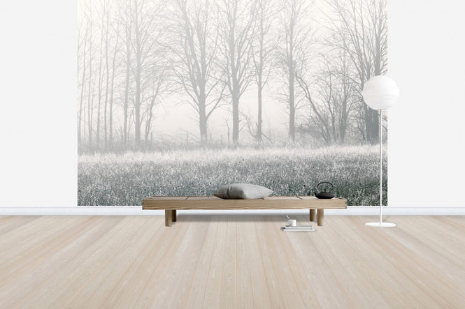 PHOTOWALL / Misty Tree (e30776)