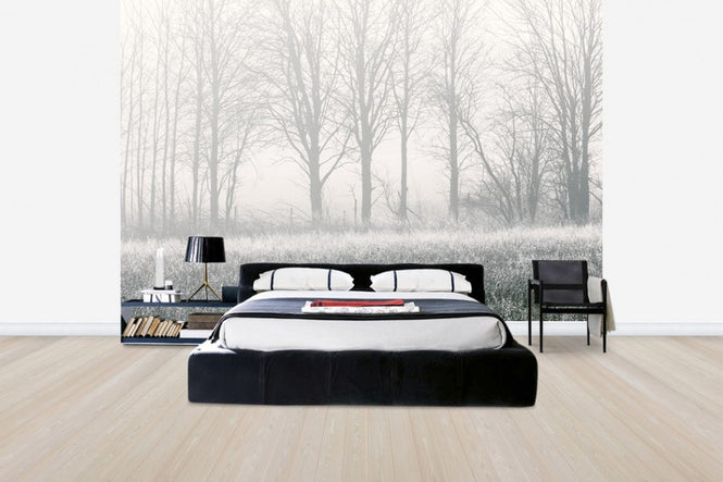 PHOTOWALL / Misty Tree (e30776)