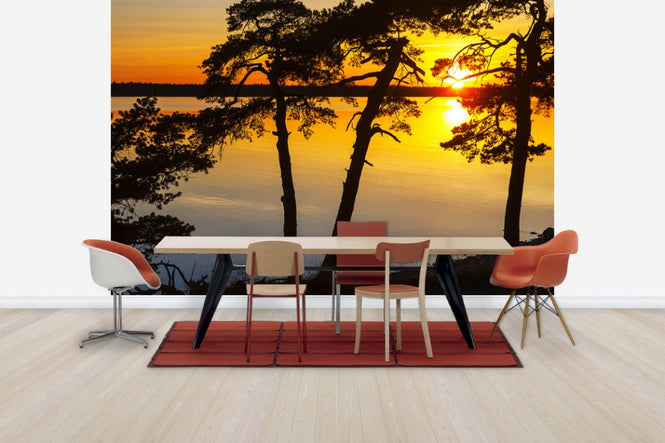 PHOTOWALL / Sunset the Baltic Gotland (e30784)