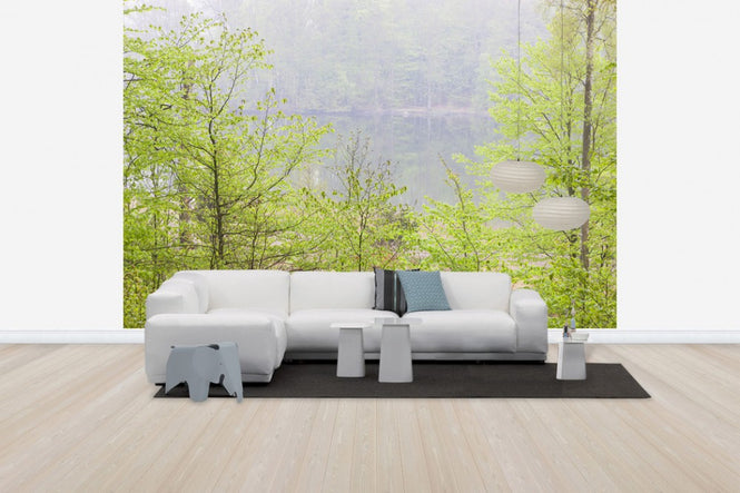 PHOTOWALL / Akulla Beech Forest (e41134)