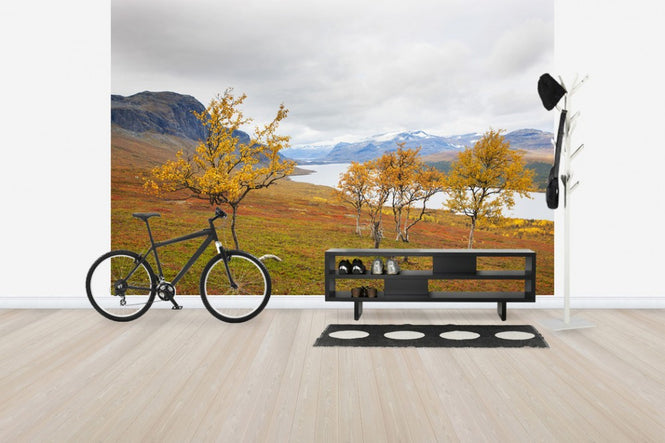 PHOTOWALL / Beautiful Autumn in Saltoloukta (e41138)