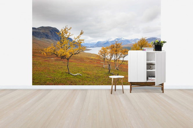 PHOTOWALL / Beautiful Autumn in Saltoloukta (e41138)