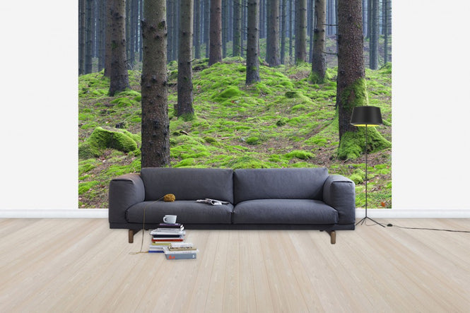 PHOTOWALL / Fir Tree Trunk (e41147)