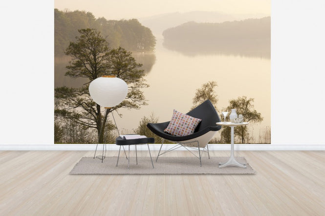 PHOTOWALL / Swedish Misty Lake (e41168)