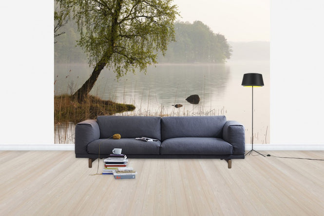 PHOTOWALL / Tree at Swedish Lake (e41169)