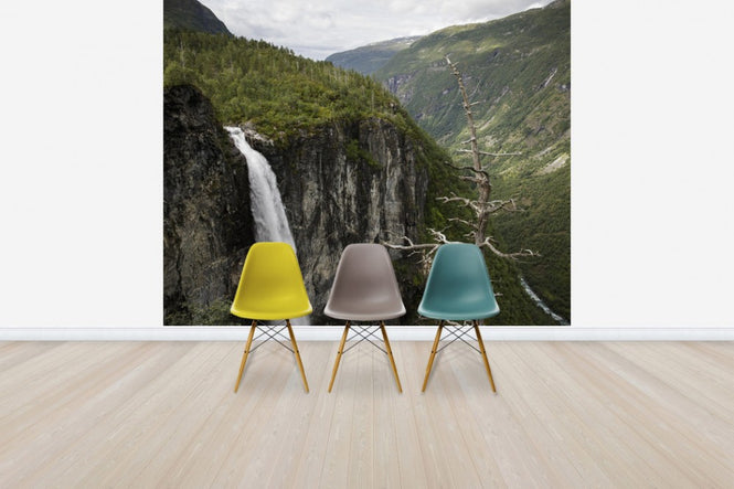 PHOTOWALL / Bare Tree at Vettisfossen (e31067)