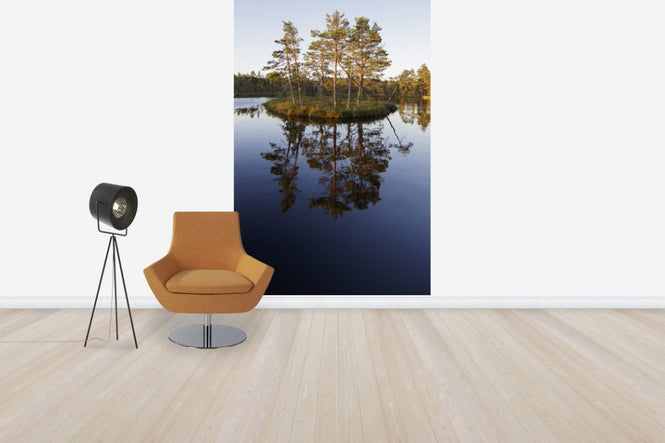 PHOTOWALL / Knuthojdsmossen, Sweden (e50306)