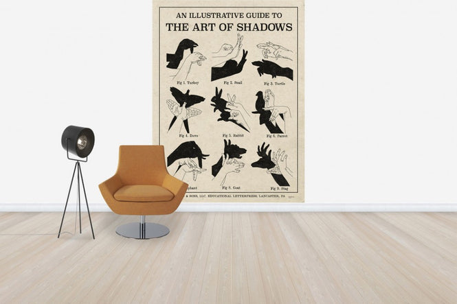 PHOTOWALL / The Art of Shadows (e31050)