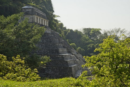 PHOTOWALL / The Palenque Mayan Ruins, Mexico (e31137)