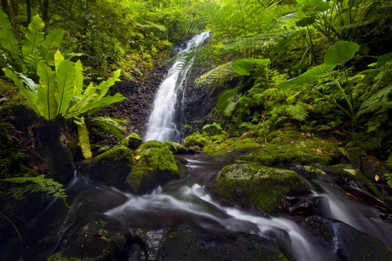 PHOTOWALL / Waterfall of Nu' uuli Falls, American Samoa (e31143)