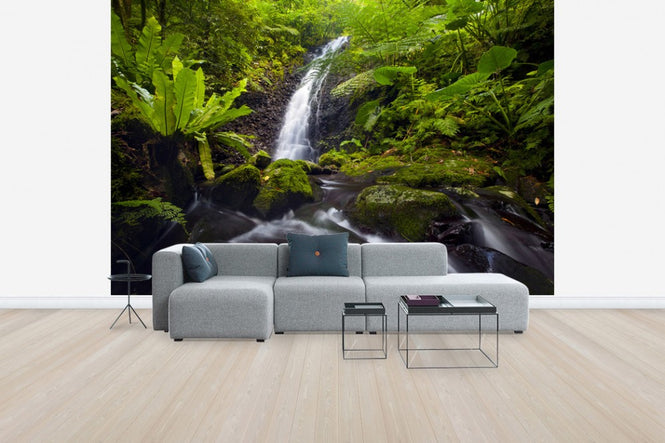 PHOTOWALL / Waterfall of Nu' uuli Falls, American Samoa (e31143)