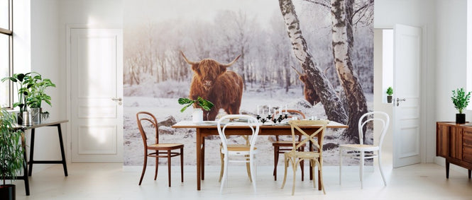 PHOTOWALL / Highland Cattle (e310106)