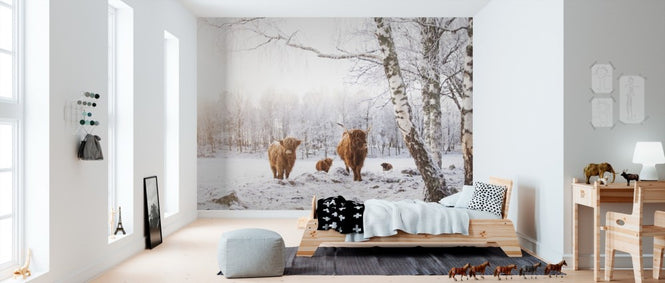 PHOTOWALL / Cattles in Snow (e310107)