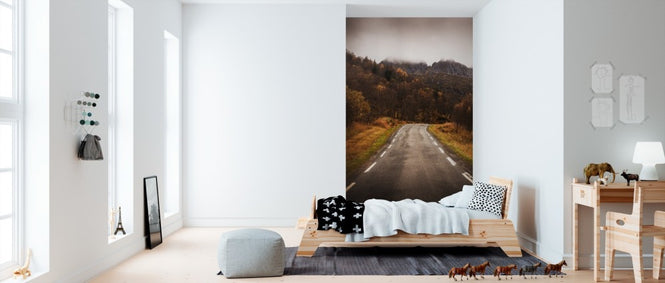 PHOTOWALL / Senja Rural Road (e310108)