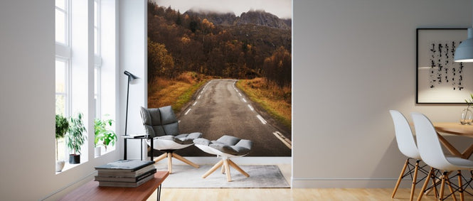 PHOTOWALL / Senja Rural Road (e310108)