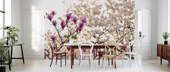 PHOTOWALL / Magnolia Flowers (e310184)