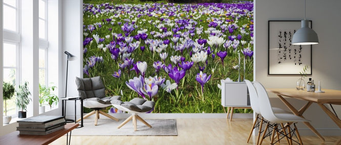PHOTOWALL / Crocus Flowers (e310253)