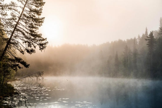 PHOTOWALL / A Magical Place (e310314)