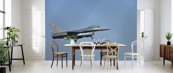 PHOTOWALL / F16 Fighter Jet (e310264)
