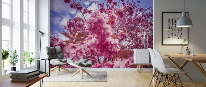 PHOTOWALL / Japanese Cherry Trees (e310412)
