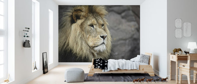 PHOTOWALL / Majestic Lion (e310413)