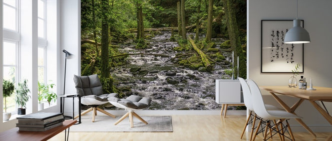 PHOTOWALL / River in the Forest (e310437)