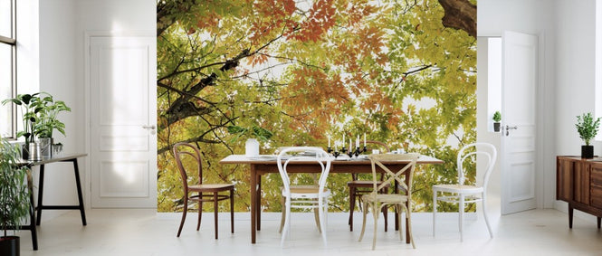 PHOTOWALL / Colors of Autumn Leaves (e310455)