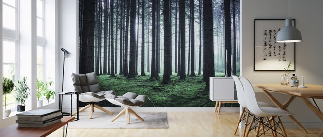 PHOTOWALL / Foggy Forest (e310478)