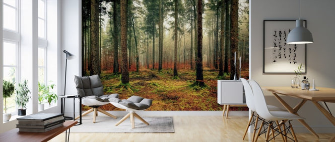 PHOTOWALL / Bemoost Woods (e310491)